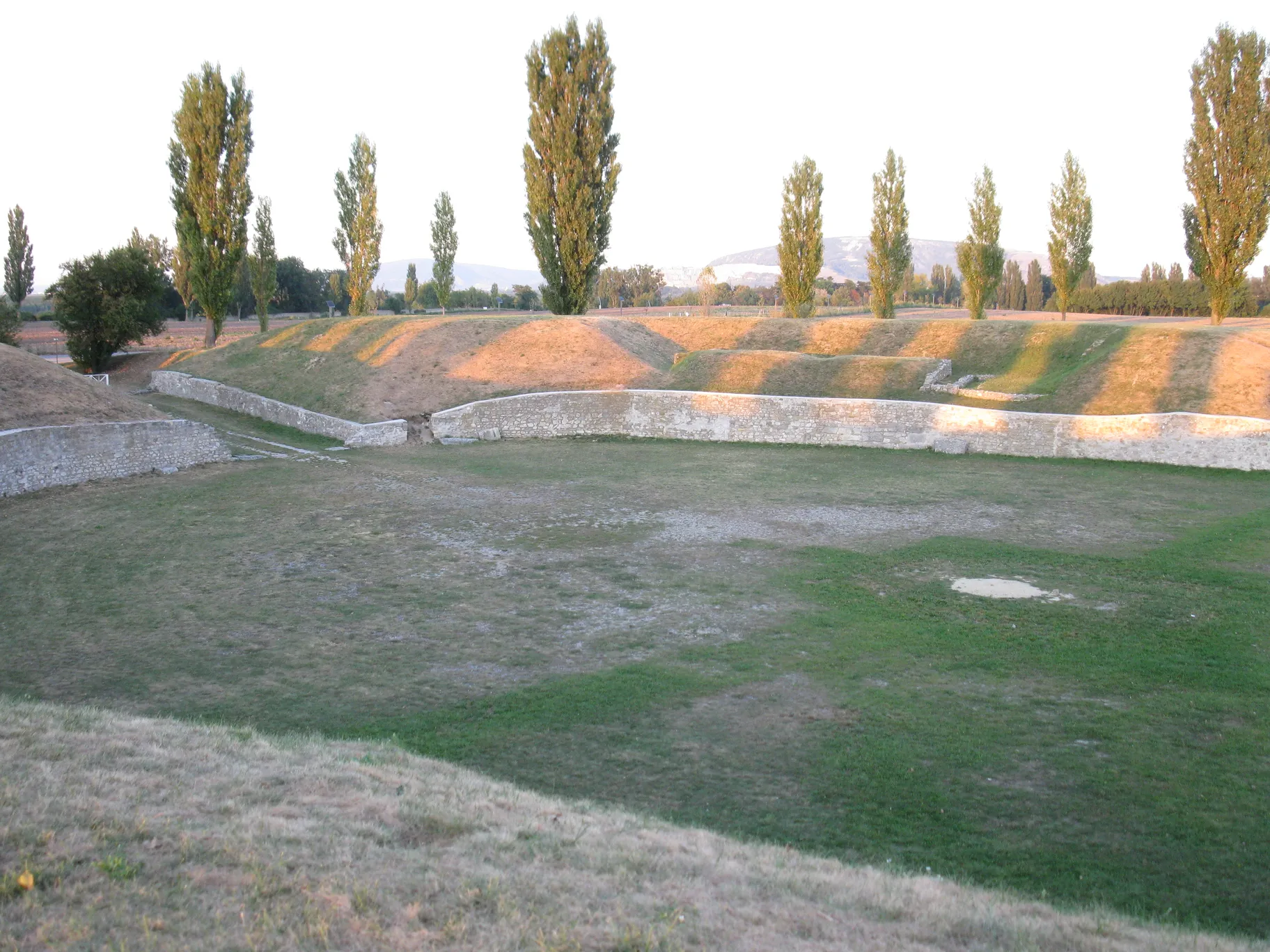 Poza