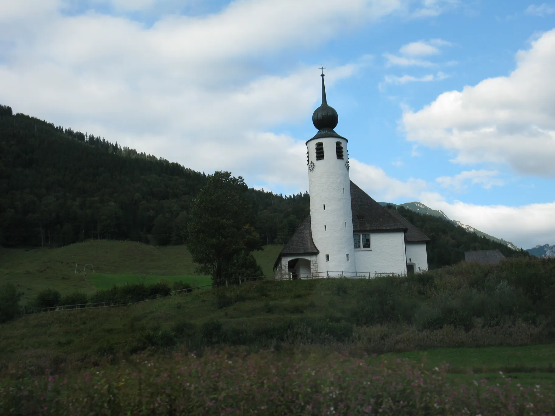 Poza