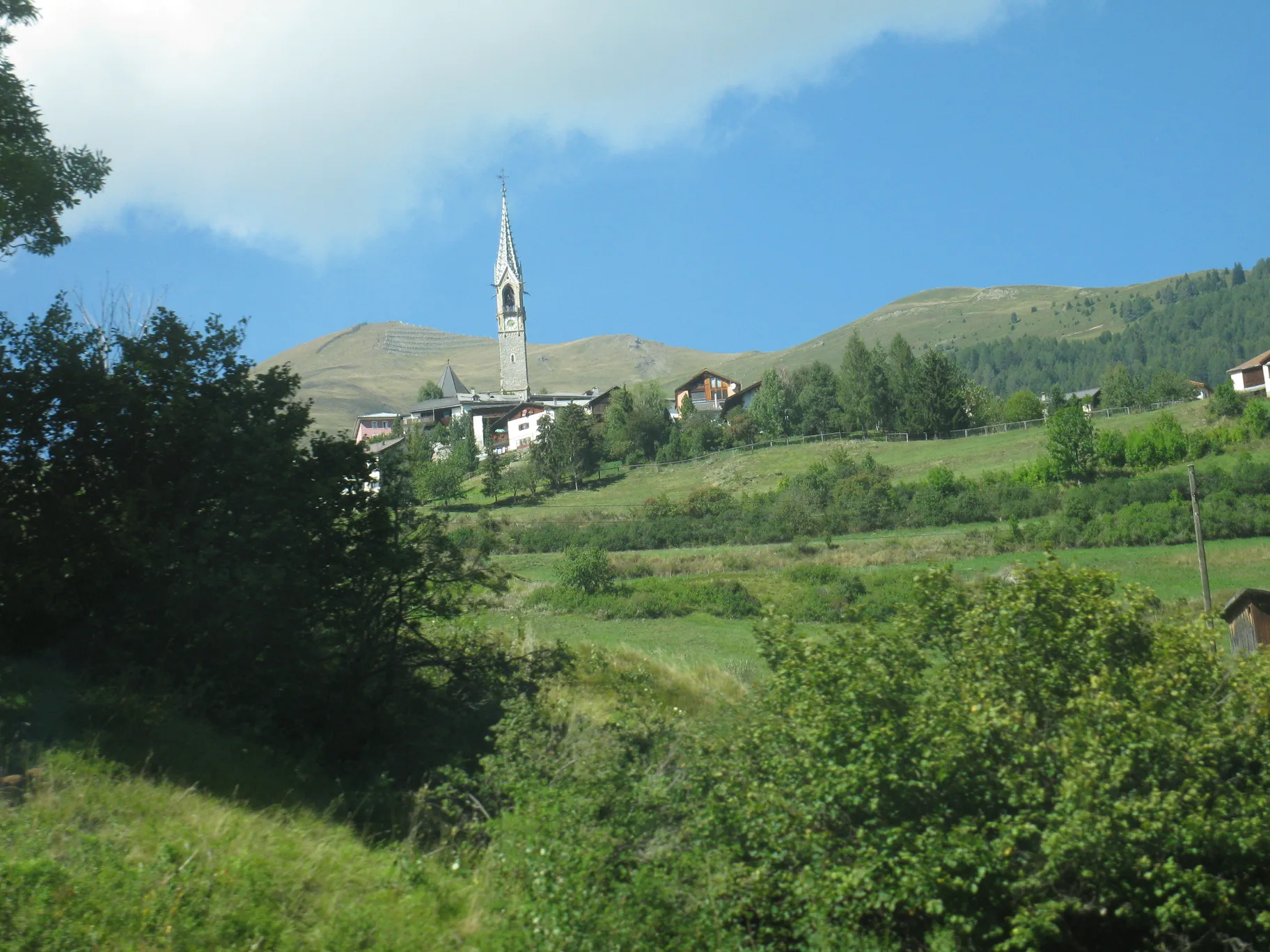 Poza