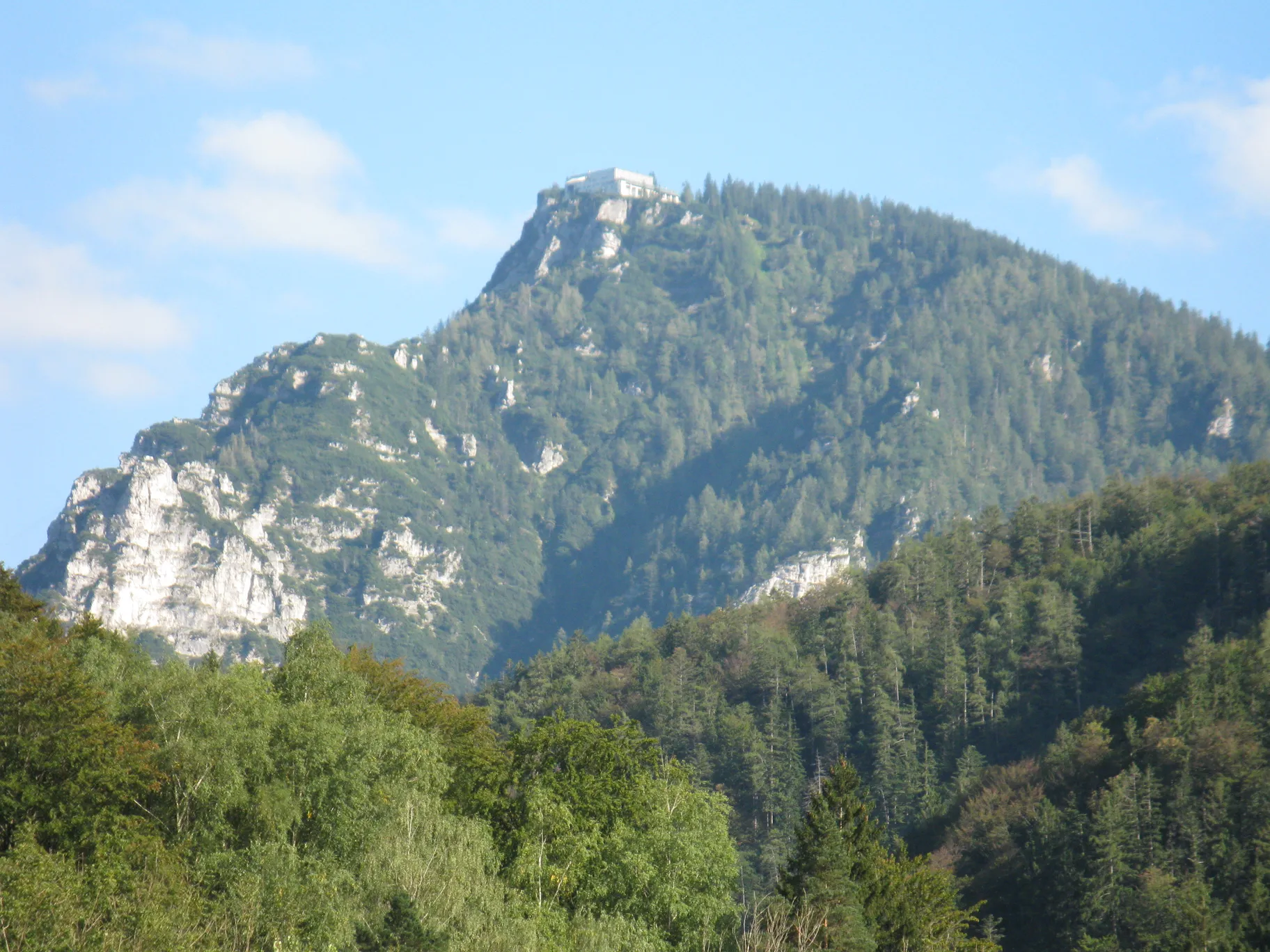 Poza