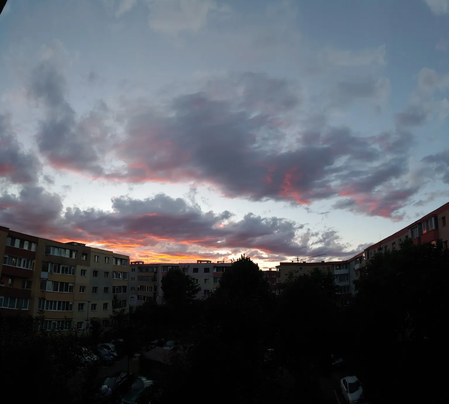 Poza