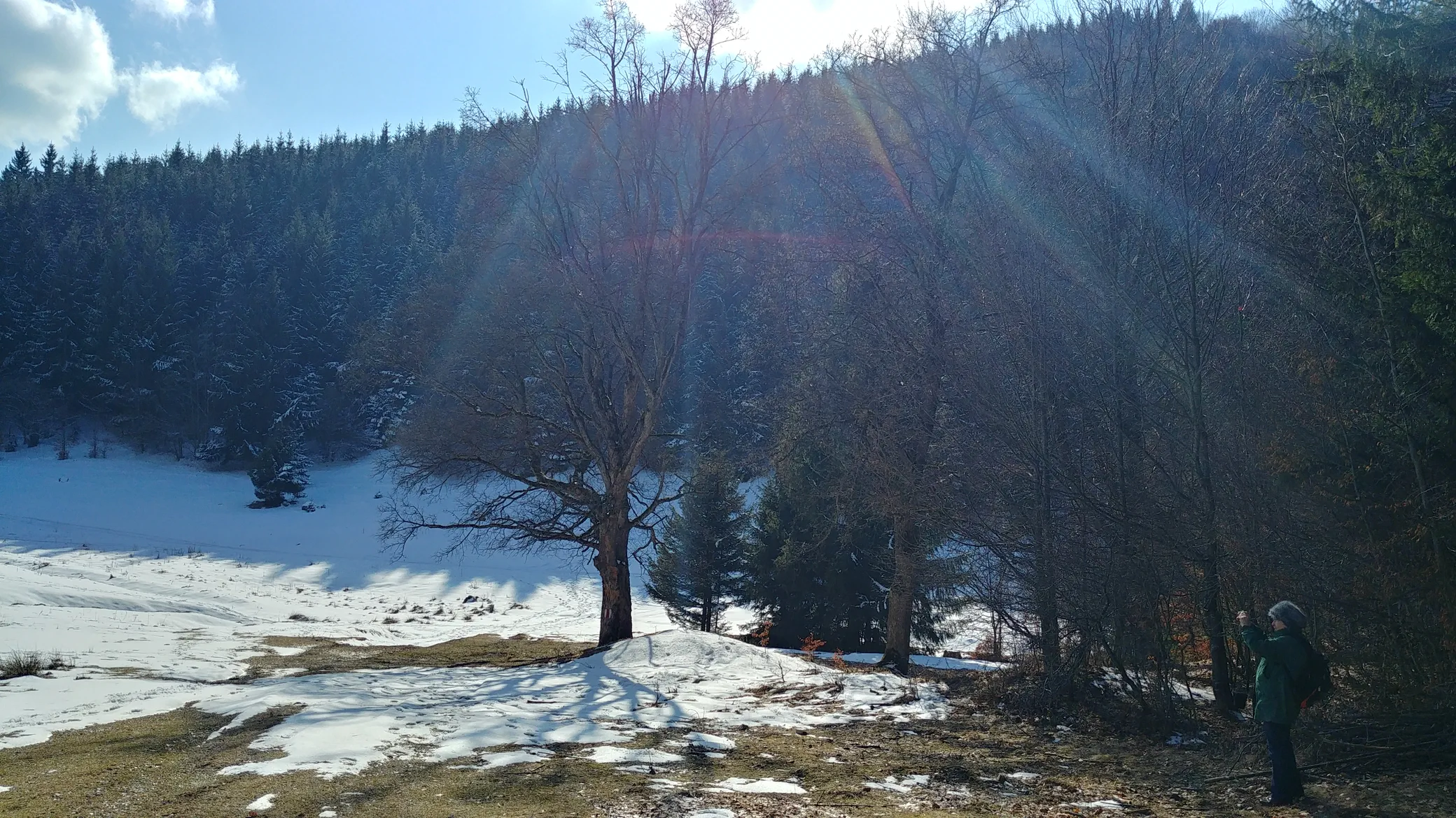 Poza