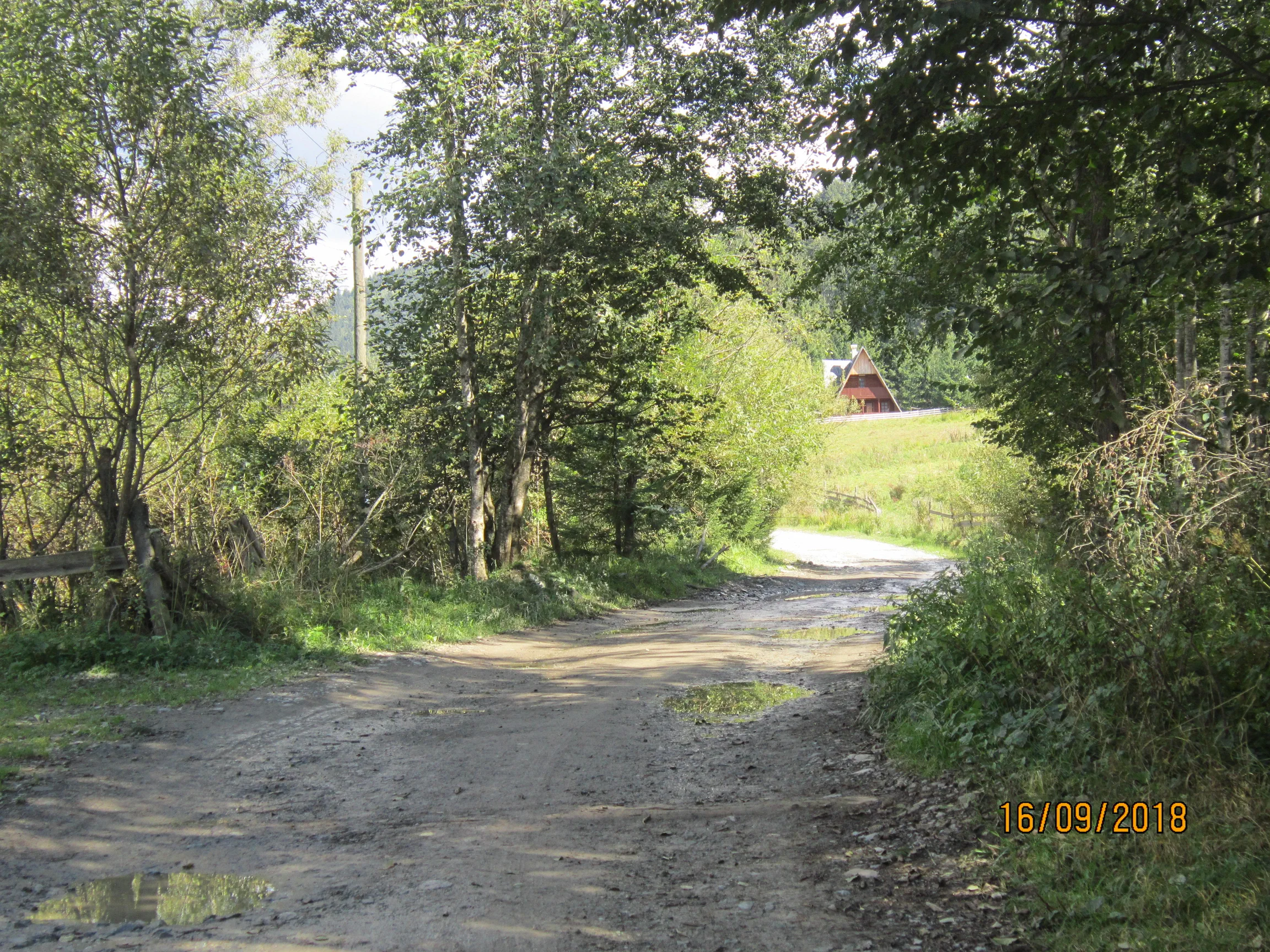 Poza