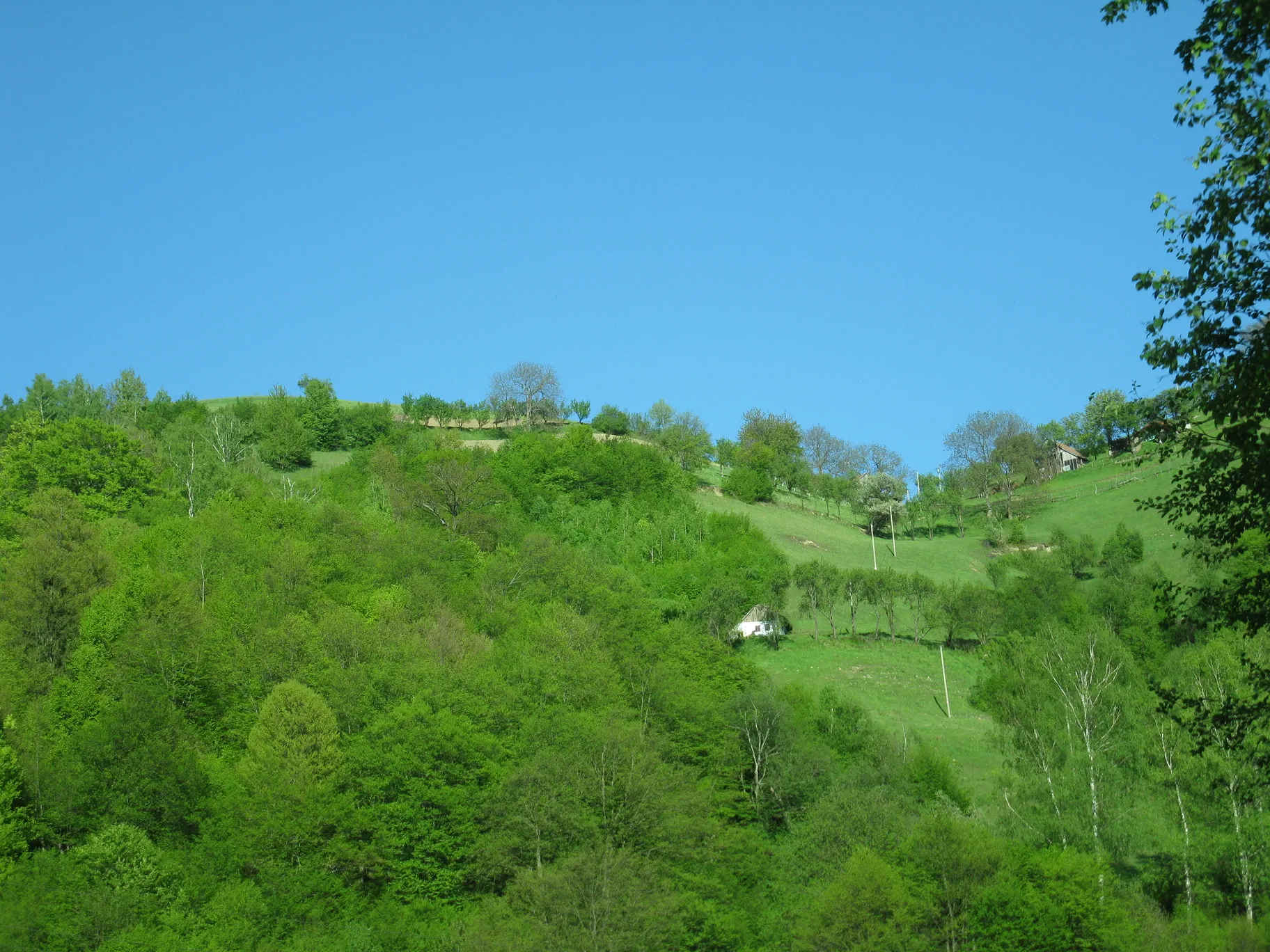 Poza