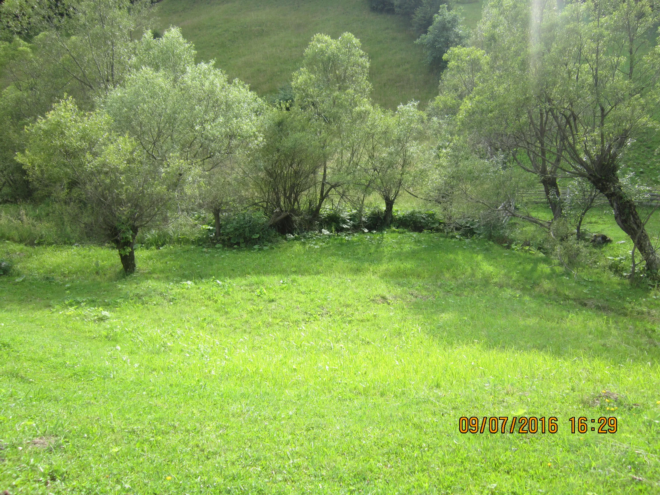Poza