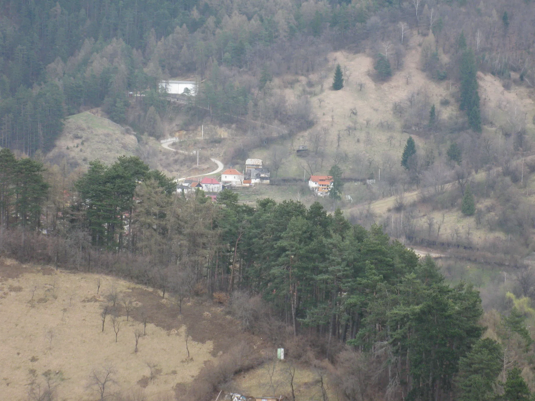 Poza