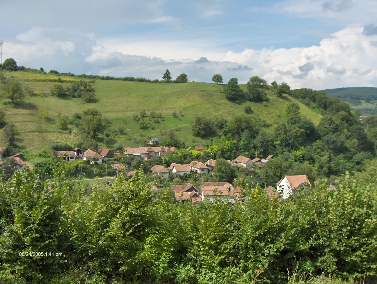Poza