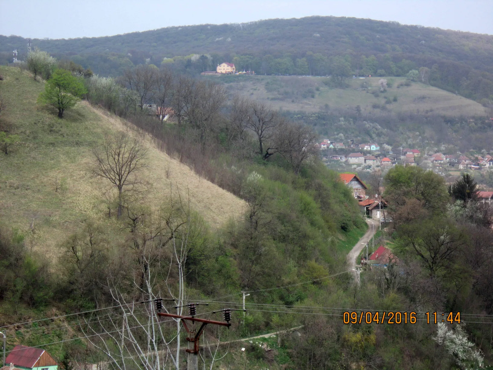 Poza
