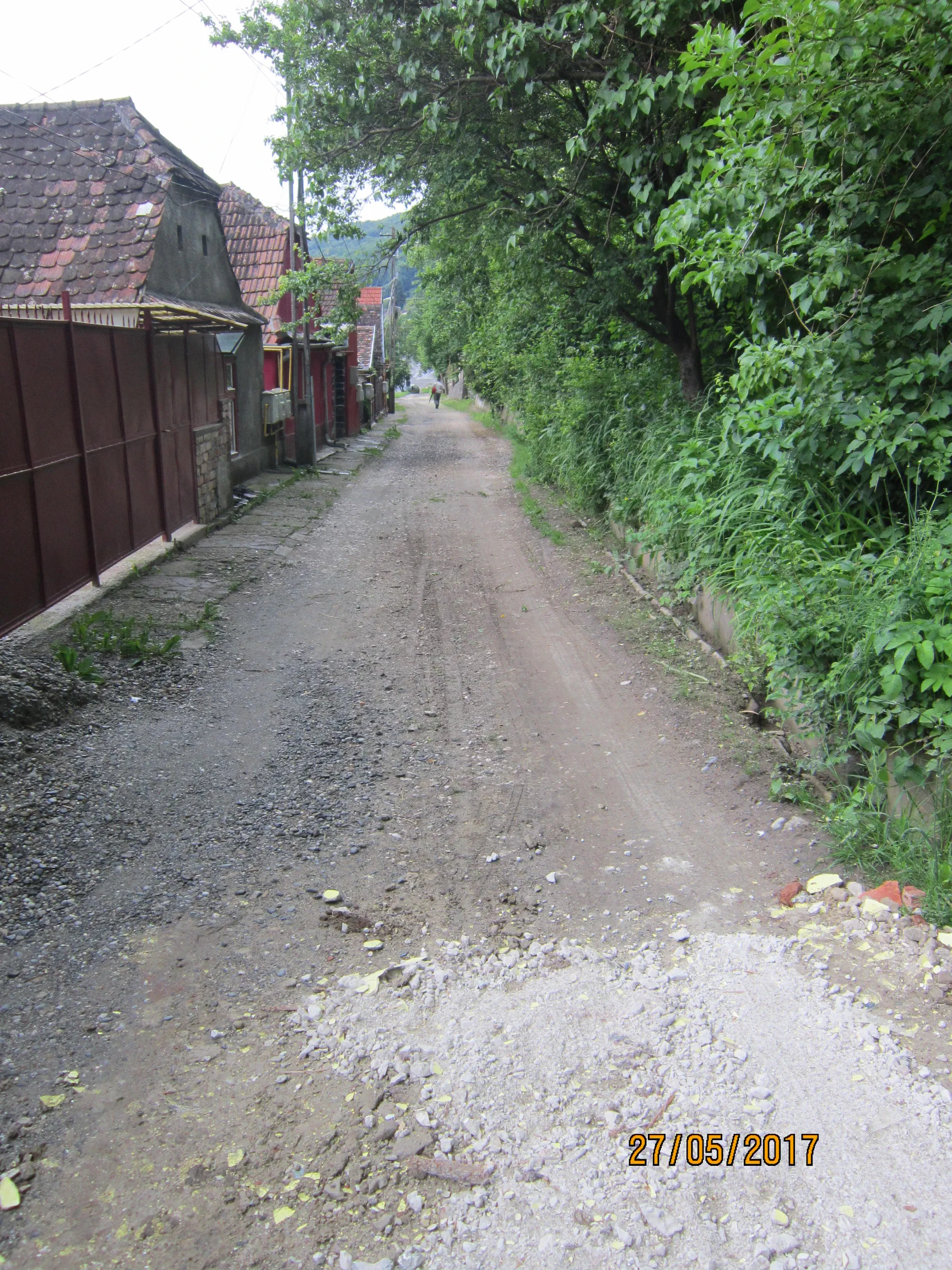Poza