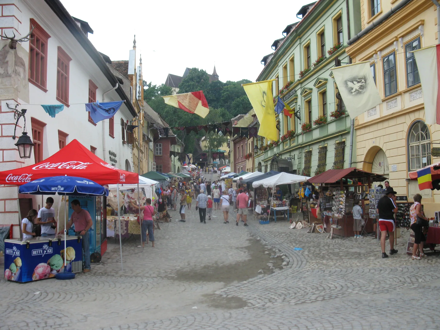 Poza