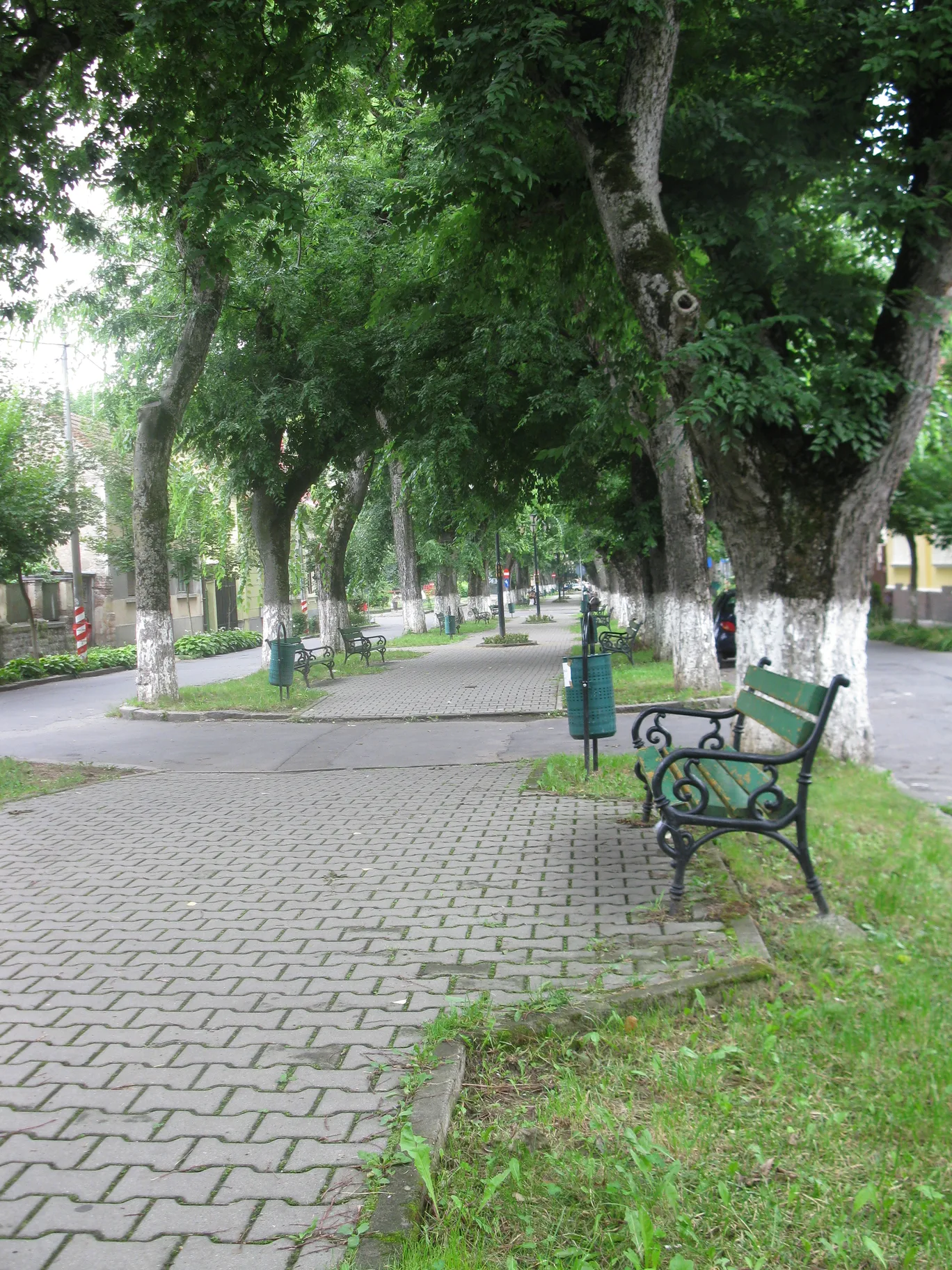 Poza
