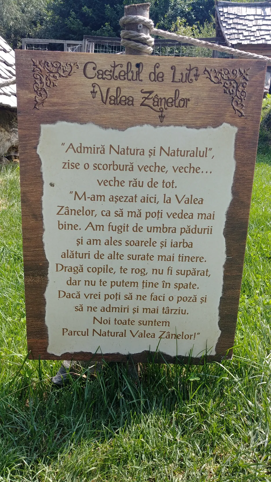Poza