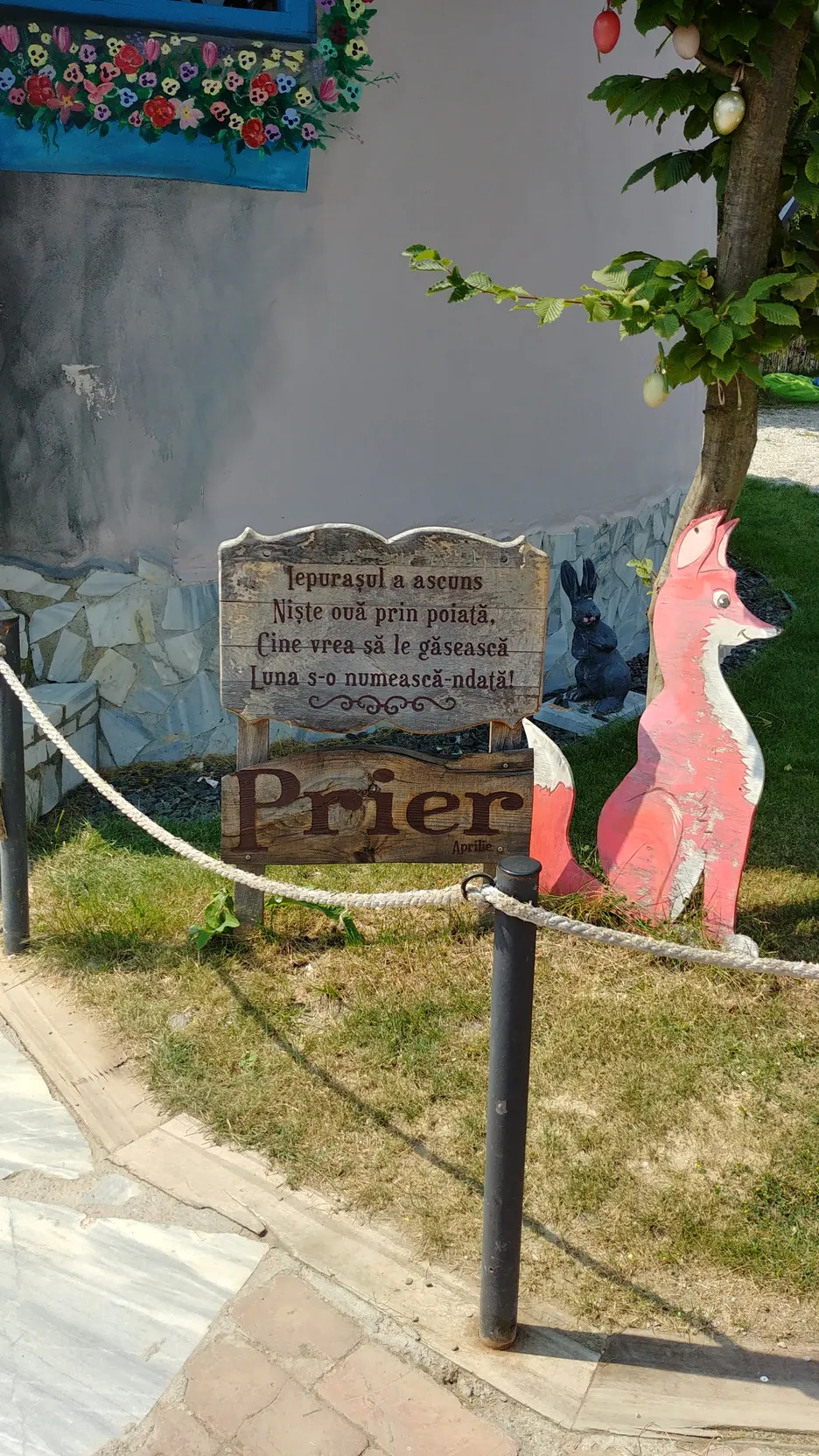 Poza