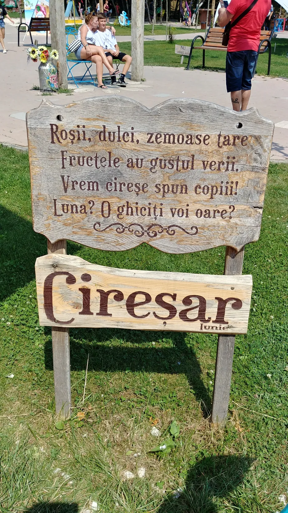 Poza