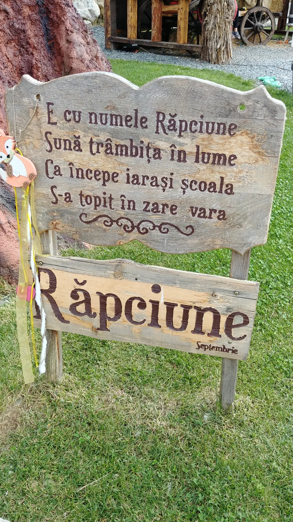 Poza